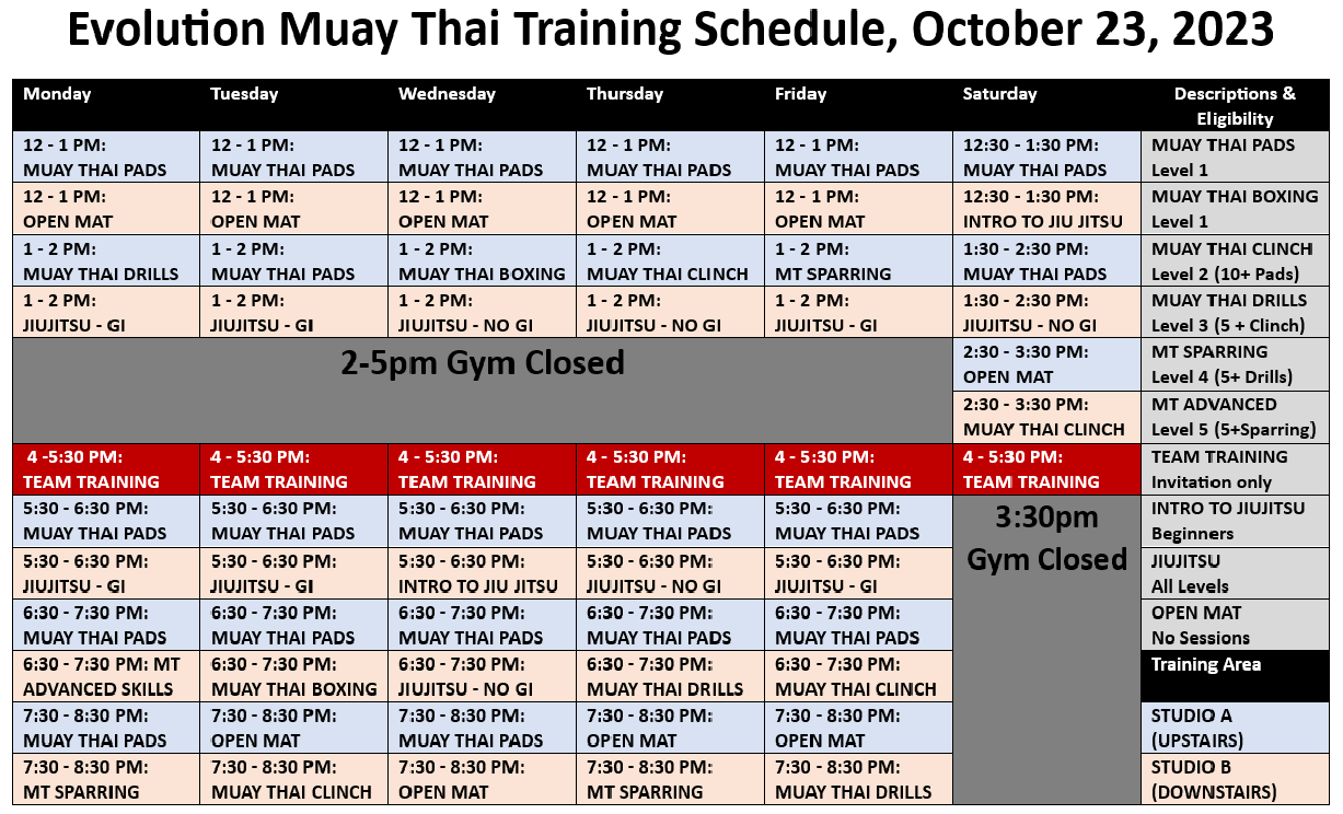 Muay Thai Training and More, Right in the Heart of New York City.